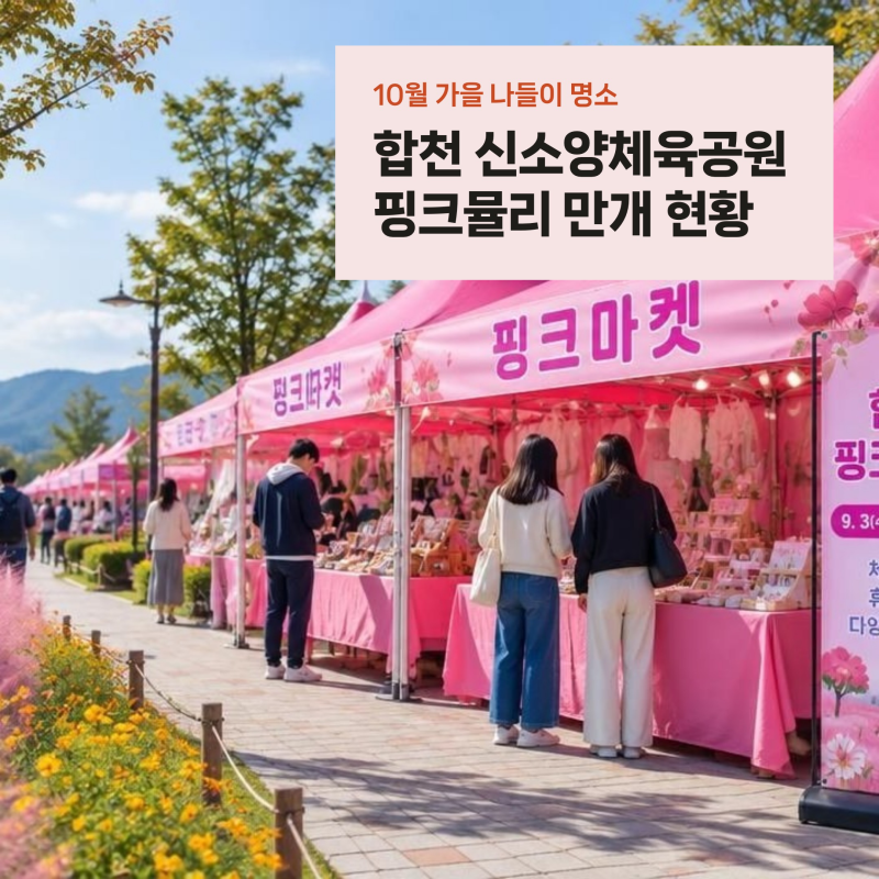합천 신소양체육공원 핑크뮬리 만개 현황, 무료 주차와 핑크마켓 영수증 꿀팁