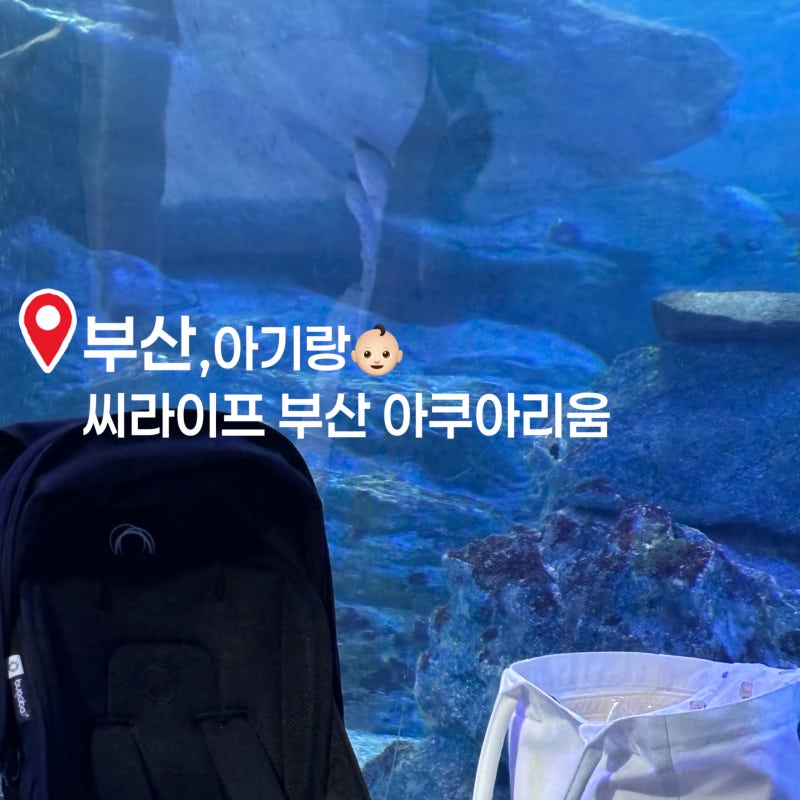 [부산 아기랑 씨라이프 부산 아쿠아리움 / 수유실 주차 정보]