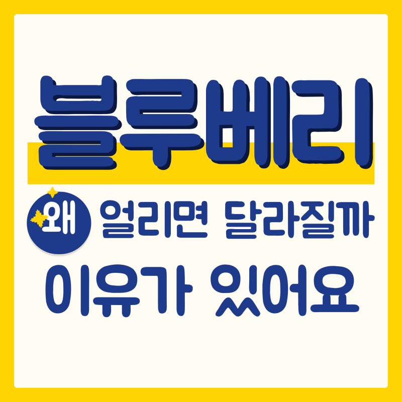 블루베리 효능, 냉동하면 수치가 달라질까?
