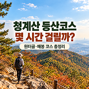 청계산 등산코스 추천 | 원터골·매봉·옥녀봉 등산 시간·주차·단풍