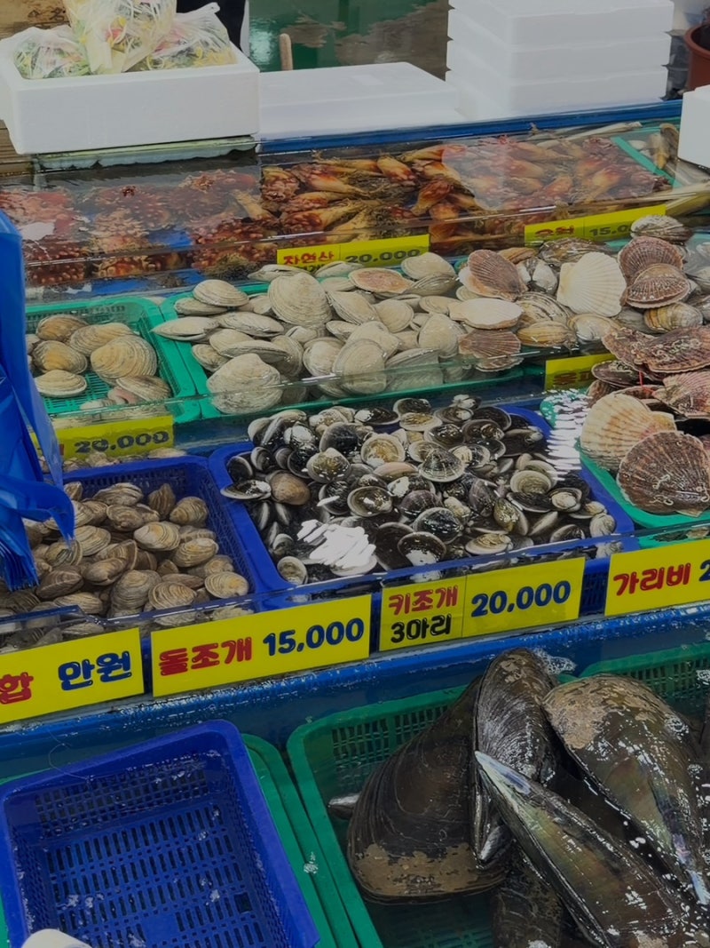 슬기로운여행생활 태안 백사장 어촌계 수산시장, 가격 물어보기 무서웠던 극 I인 내가 여기....