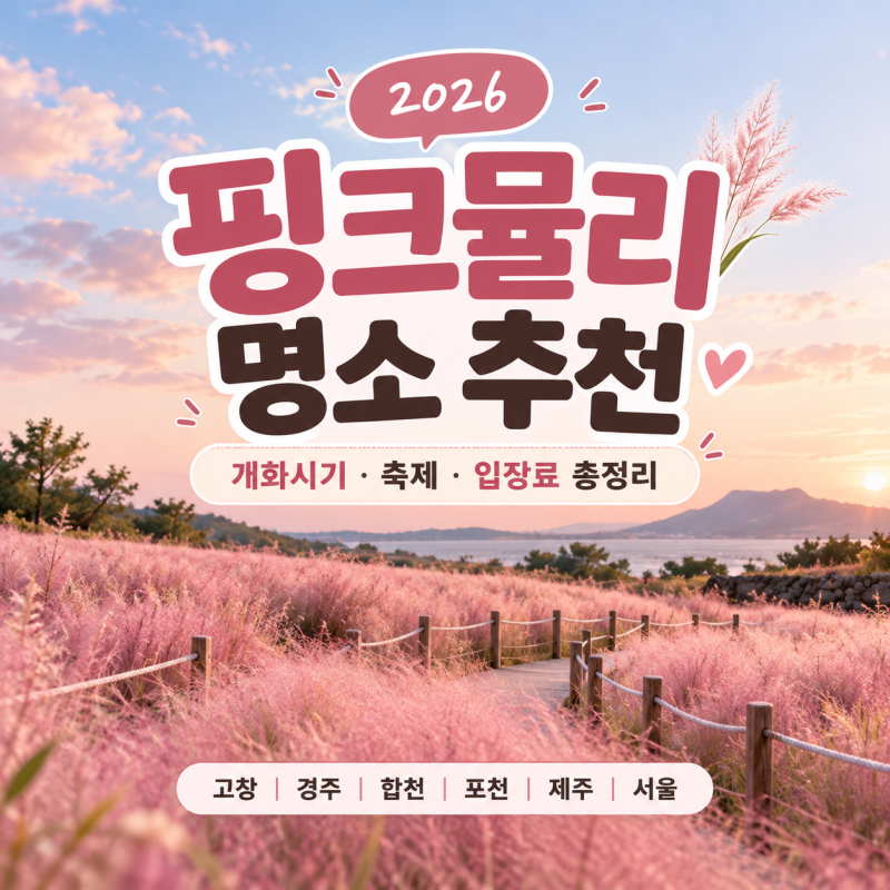 2026 핑크뮬리 명소 추천｜개화시기·축제·입장료 총정리(고창·경주·합천·포천·제주·서울)