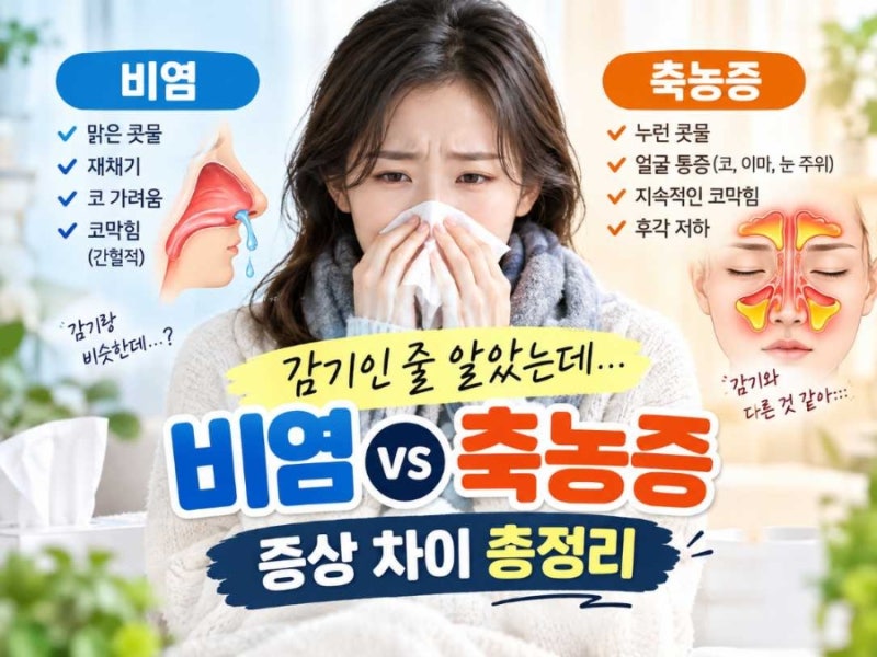 감기인 줄 알았는데... 비염 vs 축농증 증상 차이 총정리