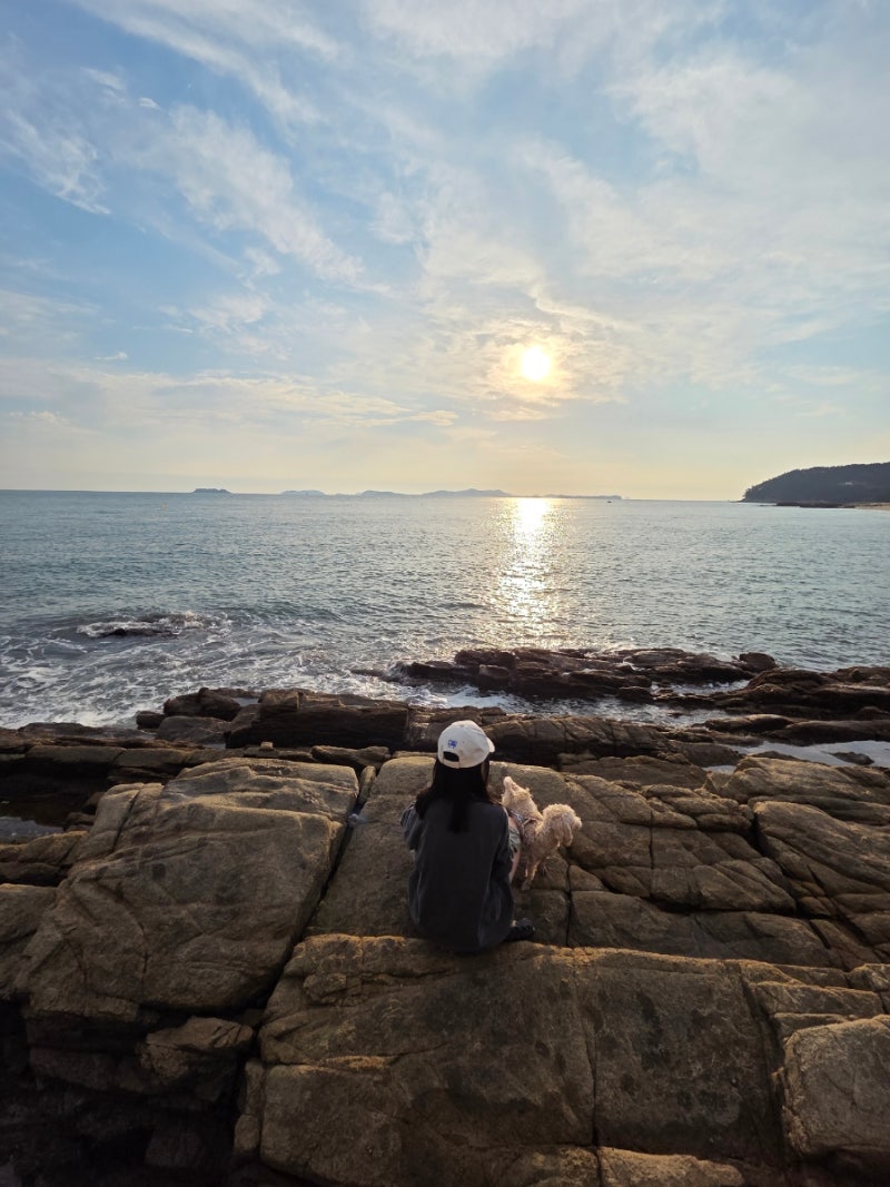 [충남 보령] 호두♡아이와 함께 가을 캠핑/가을 차 박 원산도 바다 캠핑장!