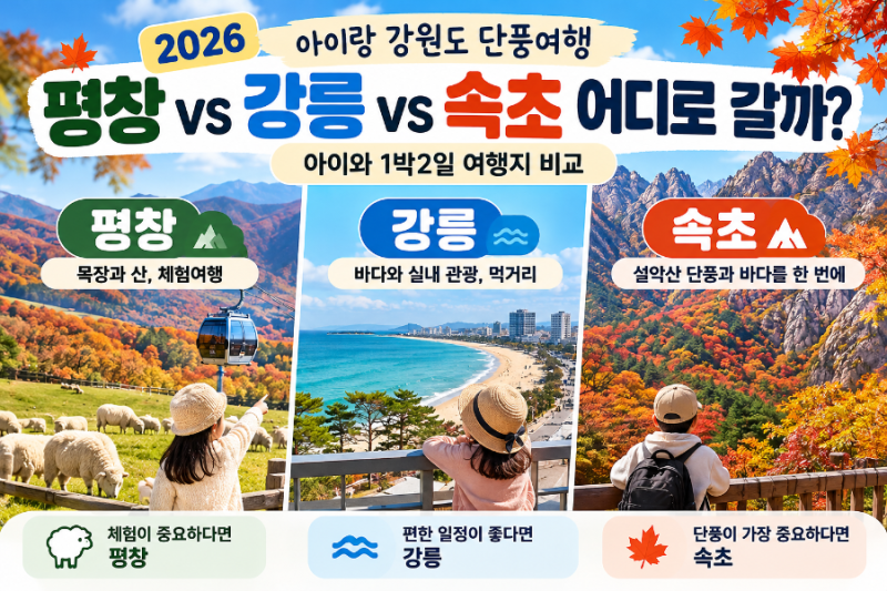 아이랑 강원도 단풍여행 어디로 갈까? 평창 vs 강릉 vs 속초 비교