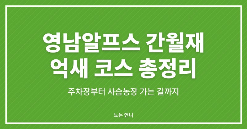 영남알프스 간월재 억새 코스, 주차장부터 사슴농장 가는 길까지 총정리
