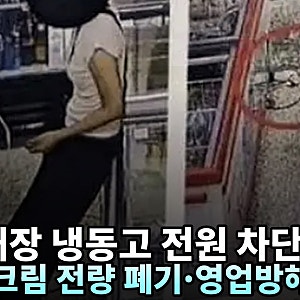 아이스크림 다 녹아버렸다 — 무인 매장 냉동고 전원 뽑고 휴대폰 충전한 여성, 업주 고소 진....