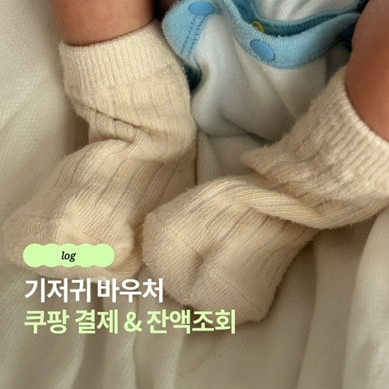 기저귀 바우처 어떻게 사용할까｜잔액 조회 방법, 쿠팡 구매 방법