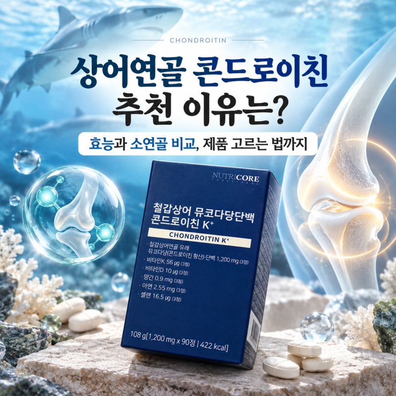 상어연골 콘드로이친 추천 이유는? 효능과 소연골 비교 제품 고르는 법까지