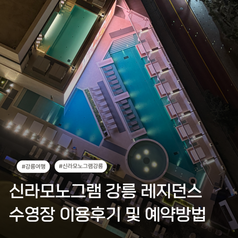 신라모노그램 강릉 레지던스 수영장 이용후기 및 예약방법