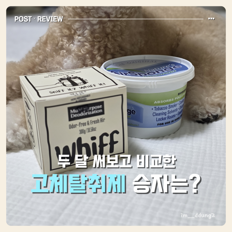 [내돈내산] 강아지 고체탈취제 위프 vs 에어스펀지 두 달 사용 솔직 비교
