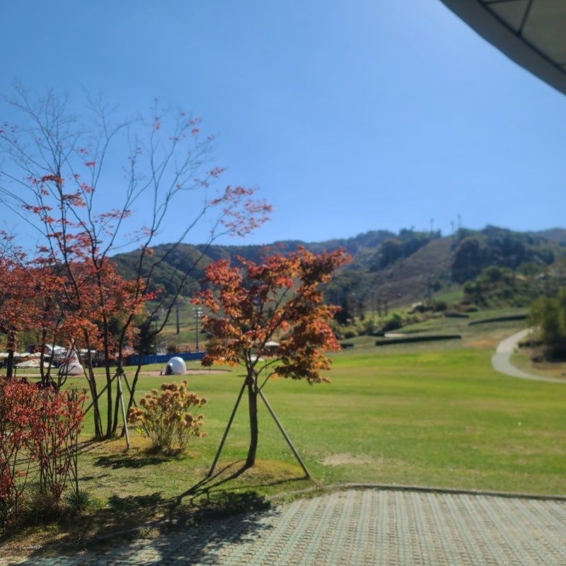 휘닉스파크 루지 할인 타고 온 솔직 후기 | 아이와 가볼만한곳 평창 가족 여행 추천 (ft. 탑승 ....