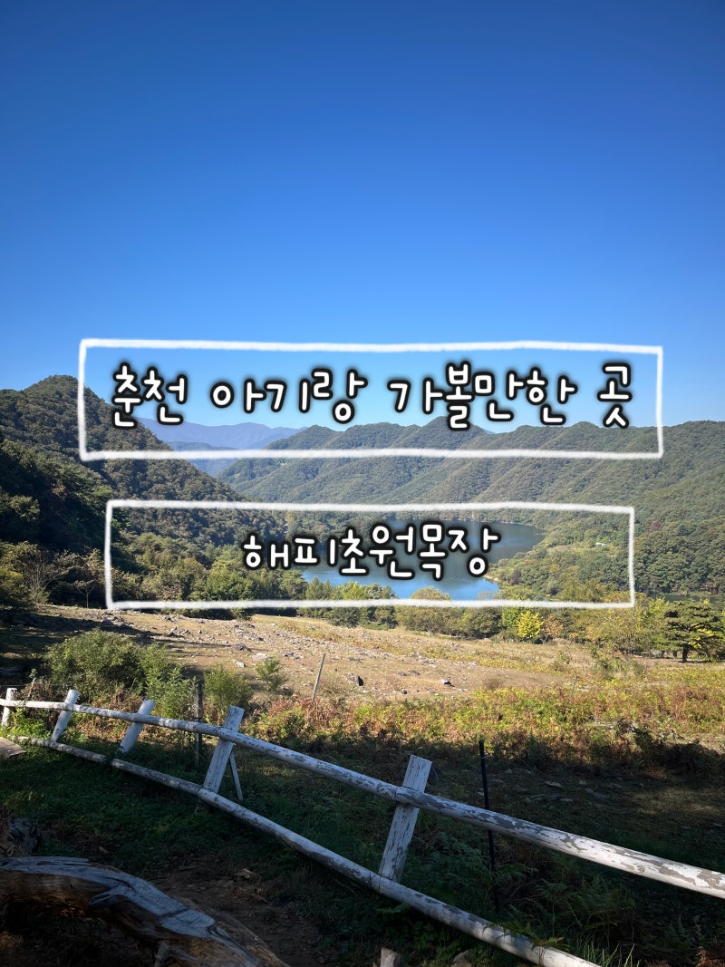 [춘천] 아기랑 춘천여행 가볼 만한 곳 사진 명소 해피초원목장
