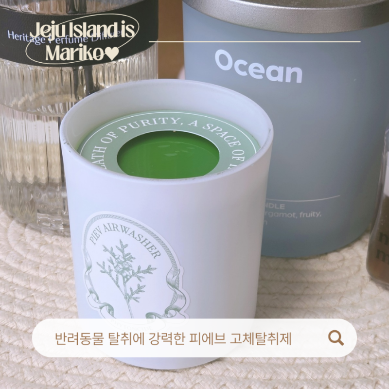 피에브 탈취제 후기, 피톤치드 고체탈취제로 집안 냄새 관리하기