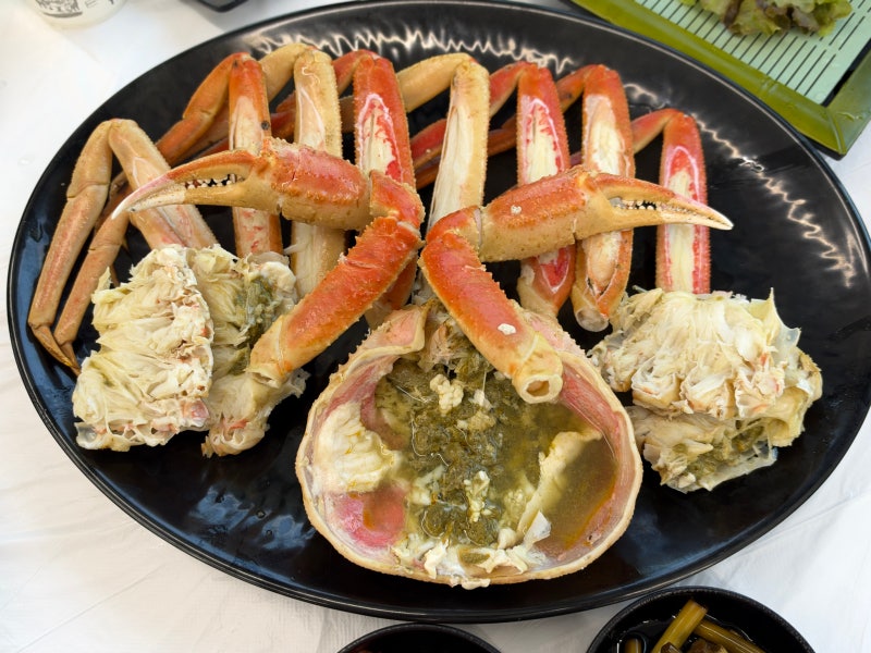 강원도 고성 횟집 봉포항 회센터 수율 좋은 대게 맛집 자연산 회 푸짐한 상차림 가성비 갑 맛....