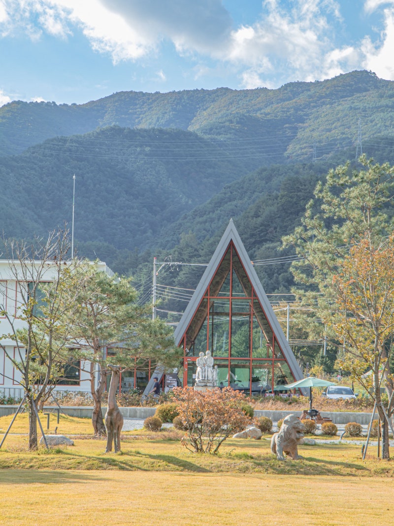 경북 감성 리조트 끝판왕! 6살 아이와 다녀온 봉화 산타포레리조트 룸 컨디션 & 야외 바베큐 ....