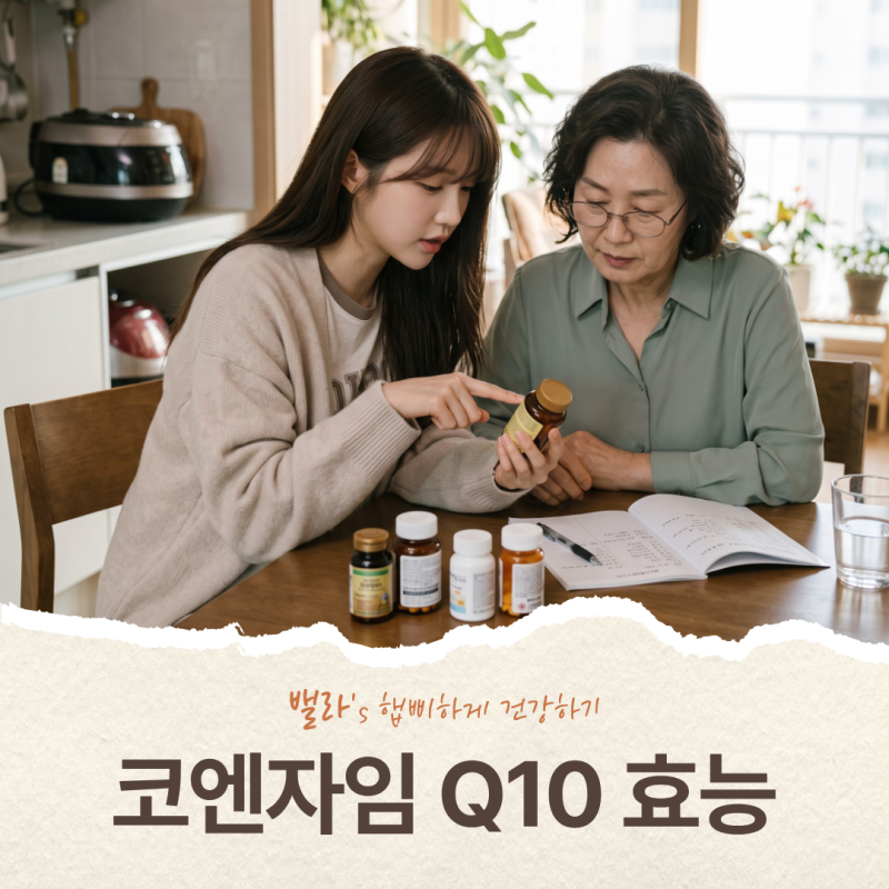 코큐텐 효능 부작용, 혈압약 대신? 식약처가 인정한 건 딱 2가지예요