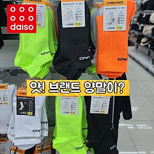 다이소 스포츠 브랜드 양말 추천!르까프,스케쳐스, 헤드 1000원 가성비 양말후기