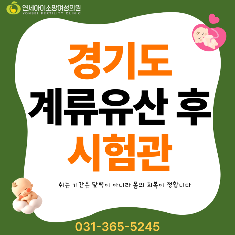 계류유산 후 경기도 시험관 몇 주 뒤에 다시 시작하나요