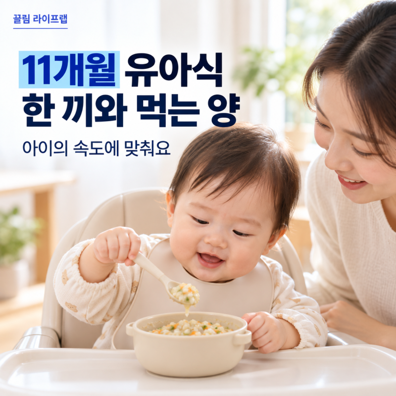 11개월 아기 유아식 레시피, 한 끼 식단과 먹는 이유식양 알아보기