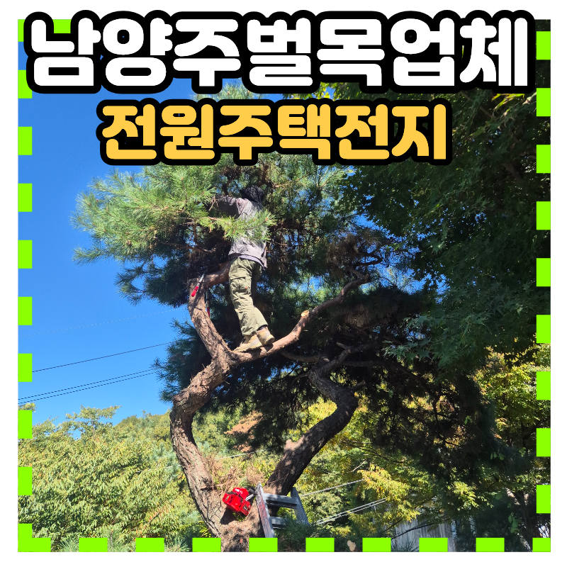 남양주 나무타서전지하는업체