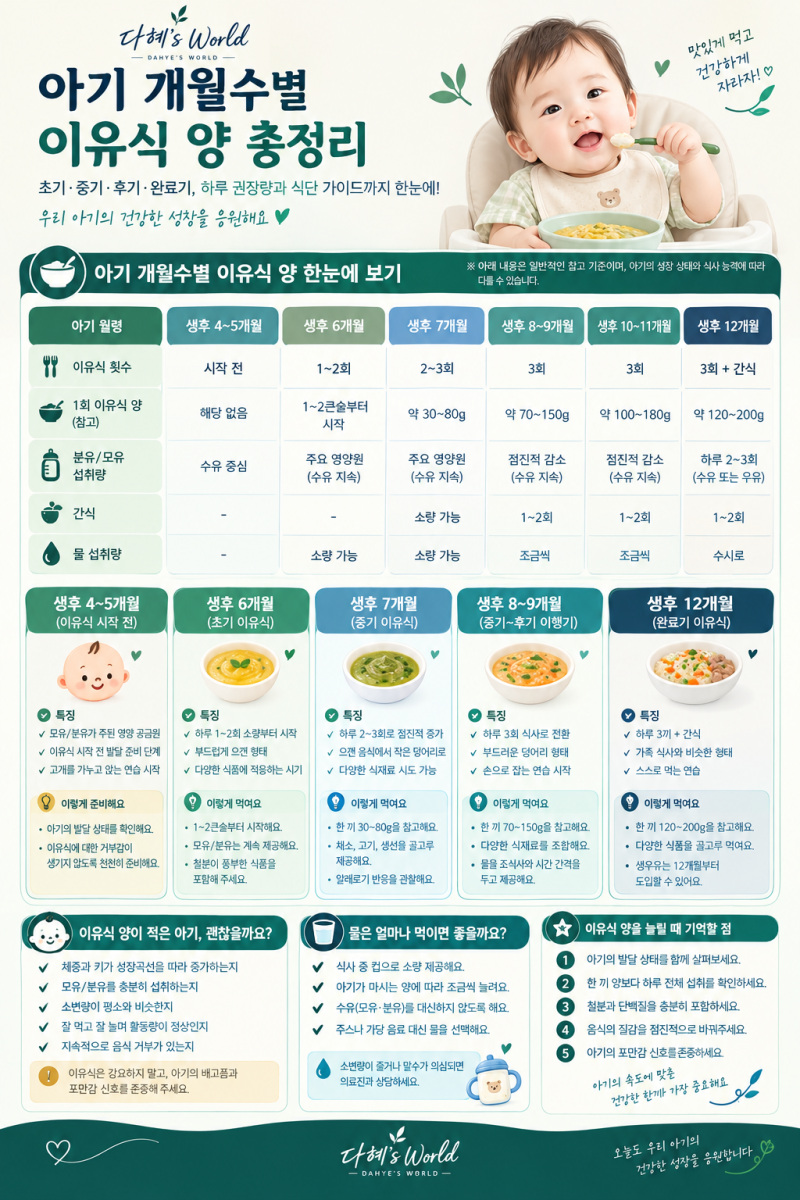 아기 개월수별 이유식 양 총정리｜초기·중기·후기·완료기 하루 권장량