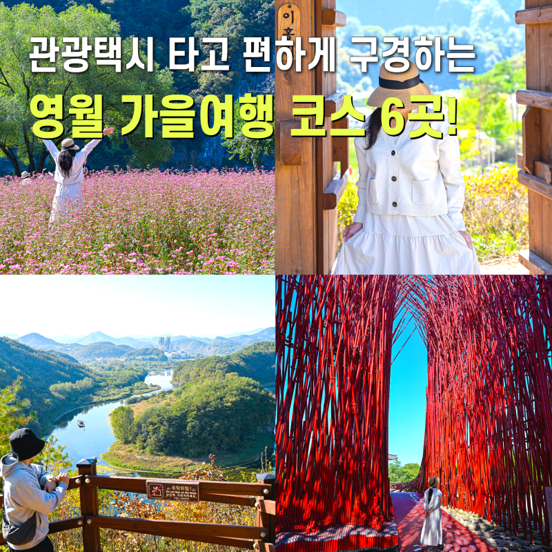 영월가볼만한곳 6곳 영월관광택시 타고 가성비 가을여행 코스 추천