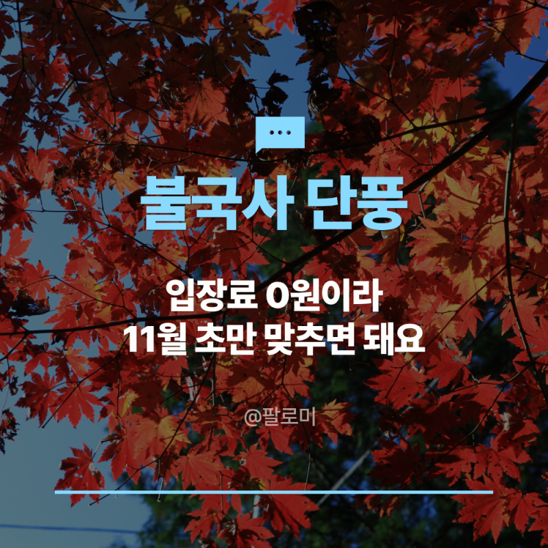 불국사 단풍 절정은 11월 초로 잡아요, 입장료 0원에 주차 1,000원