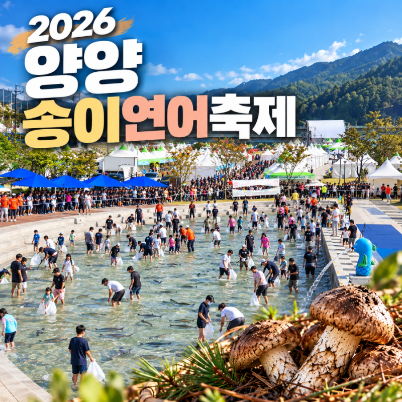 2026 양양송이연어축제 사전예약 마감? 연어 맨손잡기 현장접수·가격 총정리