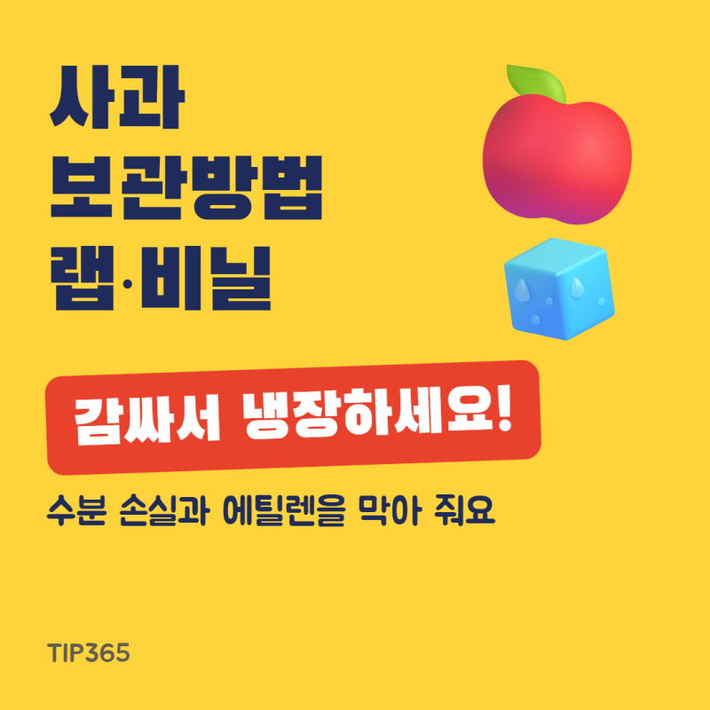 사과 보관방법, 랩·비닐로 감싸 냉장하면 덜 쭈글해져요 (수분·에틸렌 차단)