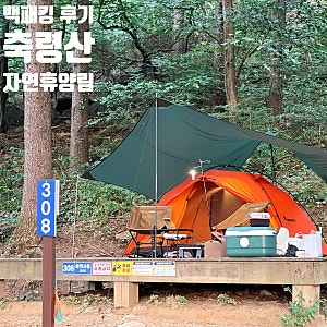 축령산자연휴양림 308번 데크 뷰, 캠핑 예약·요금·준비물 후기