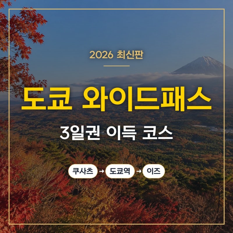 도쿄 와이드패스 3일권 가격 코스 추천 ,카와구치코 이즈 쿠사츠 도쿄 2박3일 여행 코스