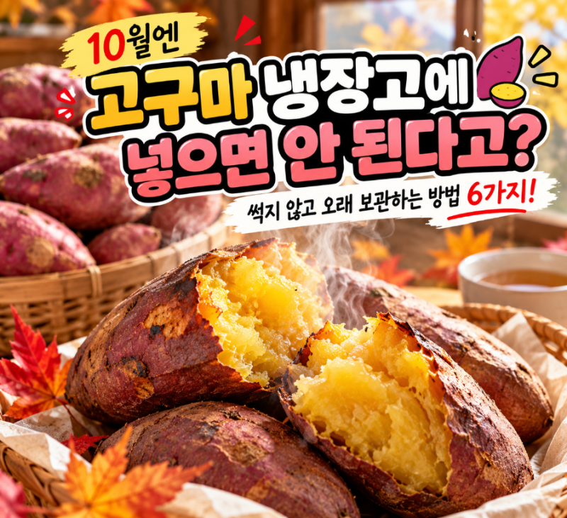 고구마 냉장고에 넣으면 안 된다고? 썩지 않고 오래 보관하는 방법 6가지!