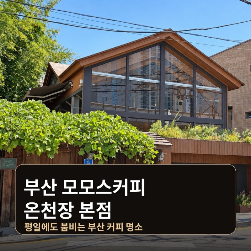 부산 모모스커피 본점 온천장 카페｜평일에도 붐비던 이유, 모바일오더 이용 후기