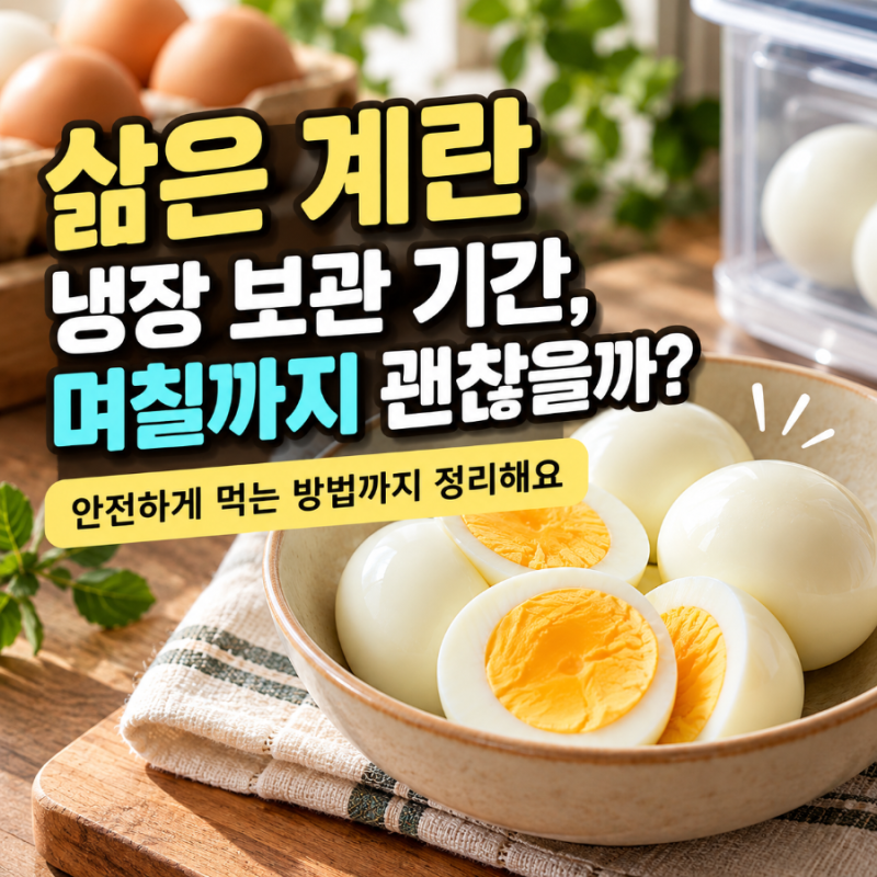 삶은 계란 냉장 보관 기간은? 껍질 유무와 안전한 보관법 총정리