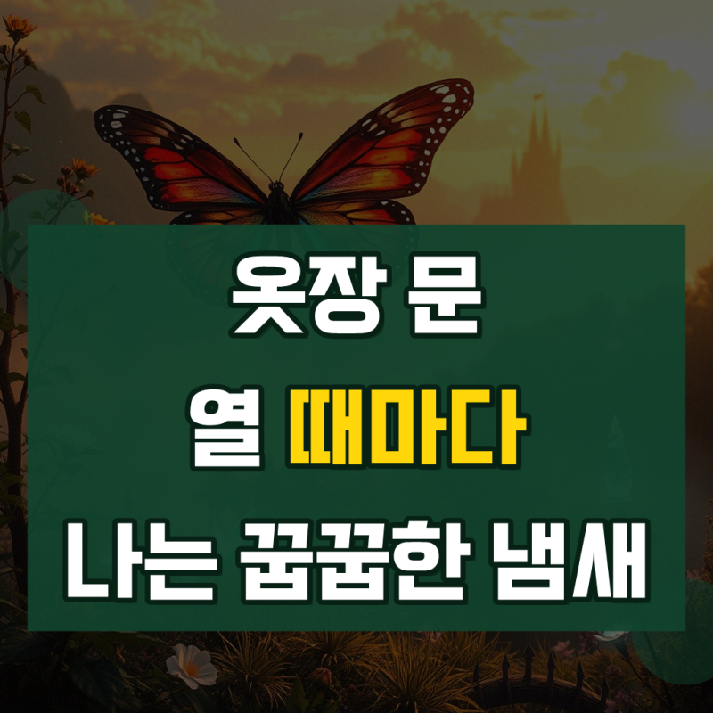대용량 옷장제습제 옷걸이형제습제 습기제거제 점보형 8개