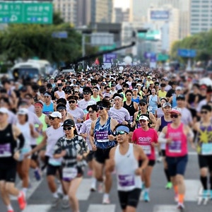 서울 달리기 마라톤 참가자 사망, 20.6km 지점서 쓰러진 20대 여성…하프코스 레이스중