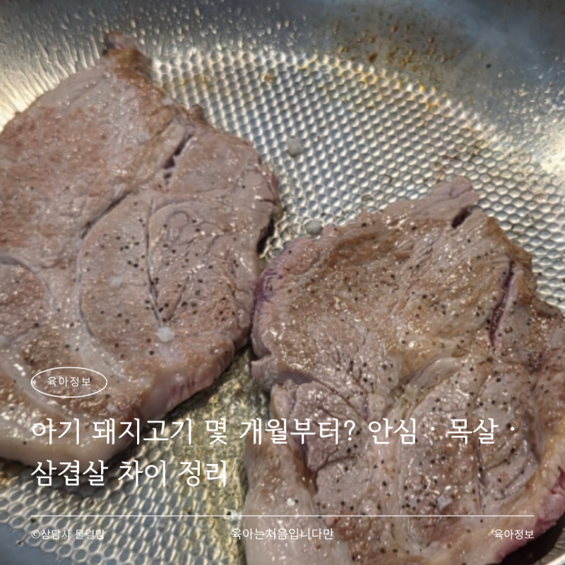 아기 돼지고기 몇 개월부터? 안심·목살·삼겹살 차이 정리
