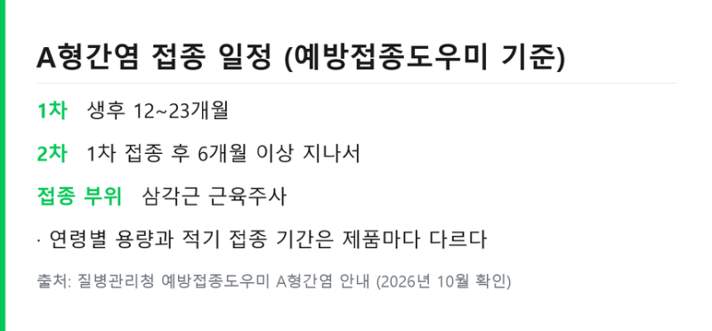 A형간염 예방접종 필요성 .. 2회 간격과 40세 항체검사 기준 정리