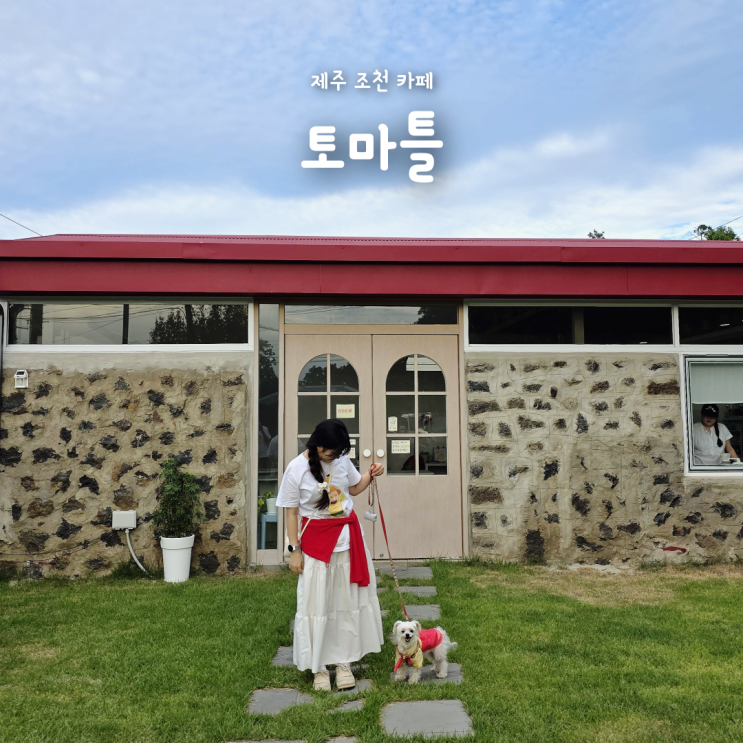 제주 조천 애견동반 카페 추천, 귀여운 토마토 감성 가득한 토마틀