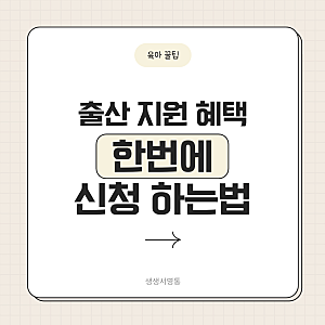 출산 정부 지원 혜택 한 번에 신청하기 :: 행복출산 원스톱서비스 부모급여 아동수당 신청방....