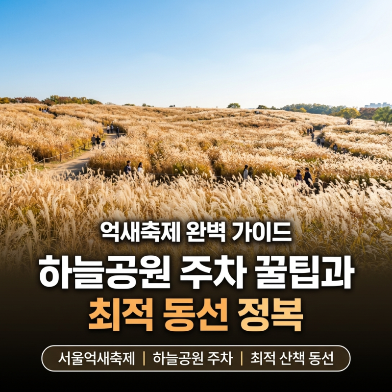 서울억새축제 주차 꿀팁과 하늘공원 최적 동선 완벽 가이드