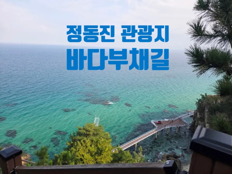 정동진 1박 2일 여행 '바다부채길' 주차장 할인방법 명소추천