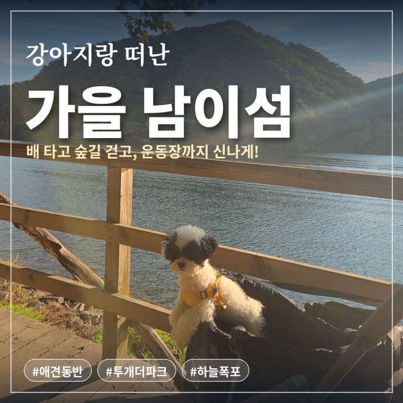 애견동반 가능한 '남이섬' 방문 후기