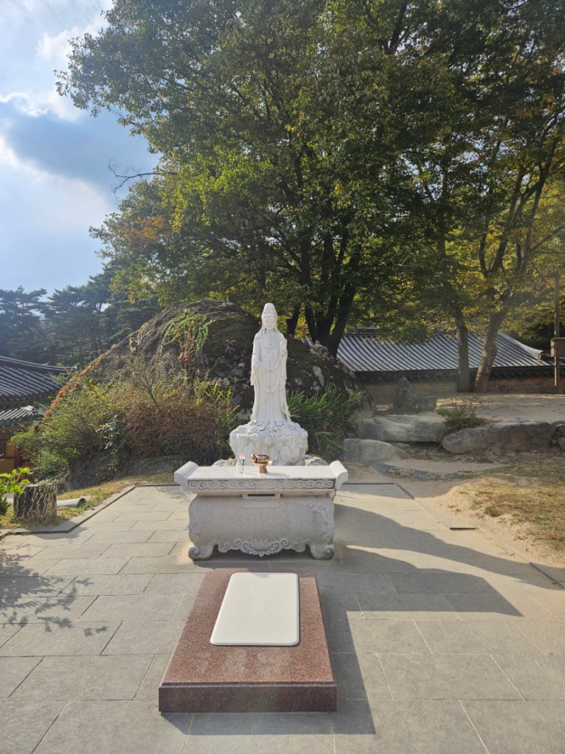 초콜릿 꿈해몽 초콜릿 먹는꿈 받는꿈 선물하는꿈 금전운 연애운 인간관계운