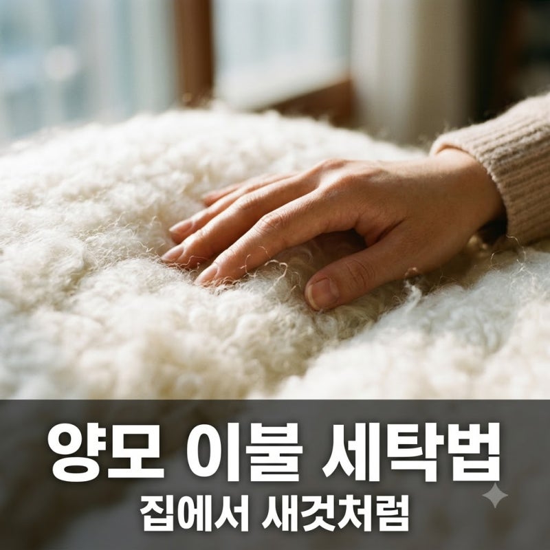 "절대 드라이클리닝 하지 마세요".. 양모 이불 세탁법, 90%가 모르는 반전?