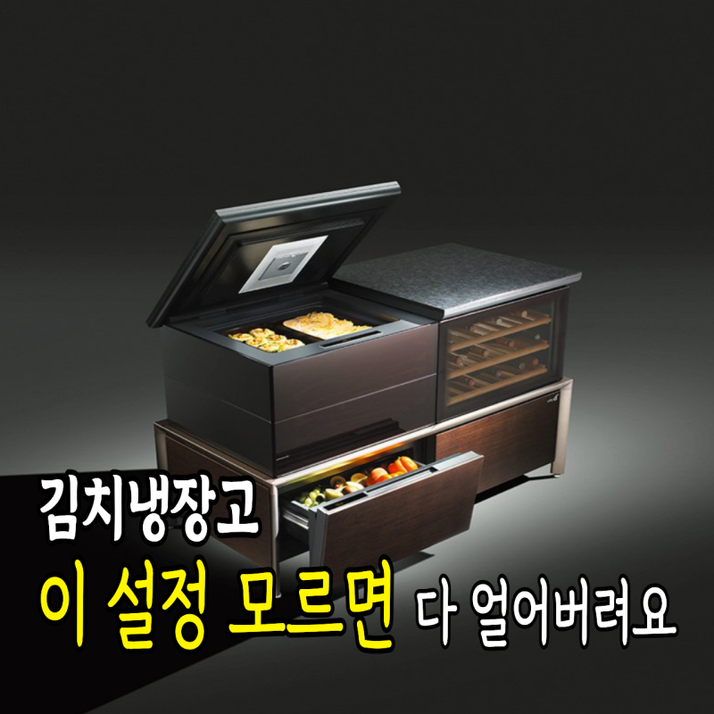'김치냉장고 보관 모드 잘못 틀었다가...' 망했어요 ㅠ AS기사님한테 배운 최적 설정법