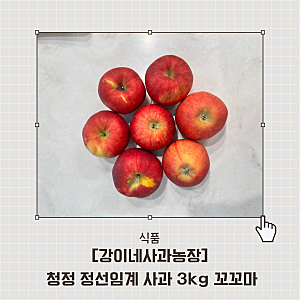 [강이네사과농장] 청정 정선임계 사과 3kg 꼬꼬마 후기  새콤달콤한 향부터 맛까지 만족!
