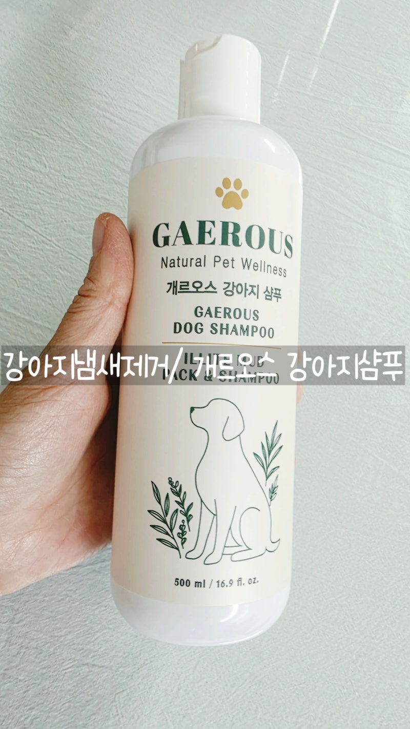 강아지냄새제거 개르오스 강아지샴푸로 해결