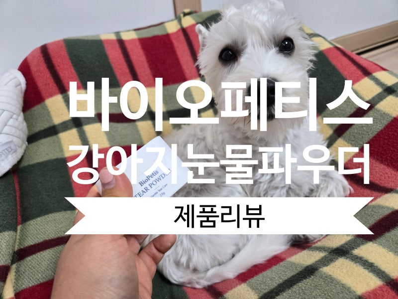 강아지눈물자국관리 바이오페티스강아지눈물파우더, 웨스티 우유 솔직 후기